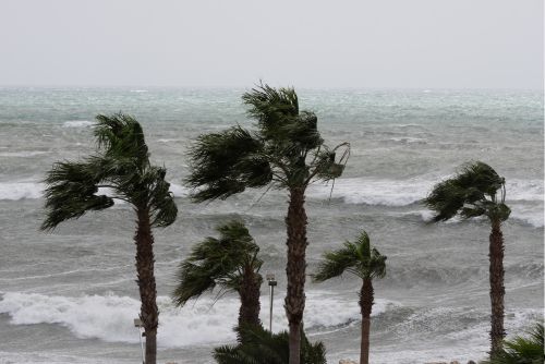 Impact Of Wind Speed On Roofs